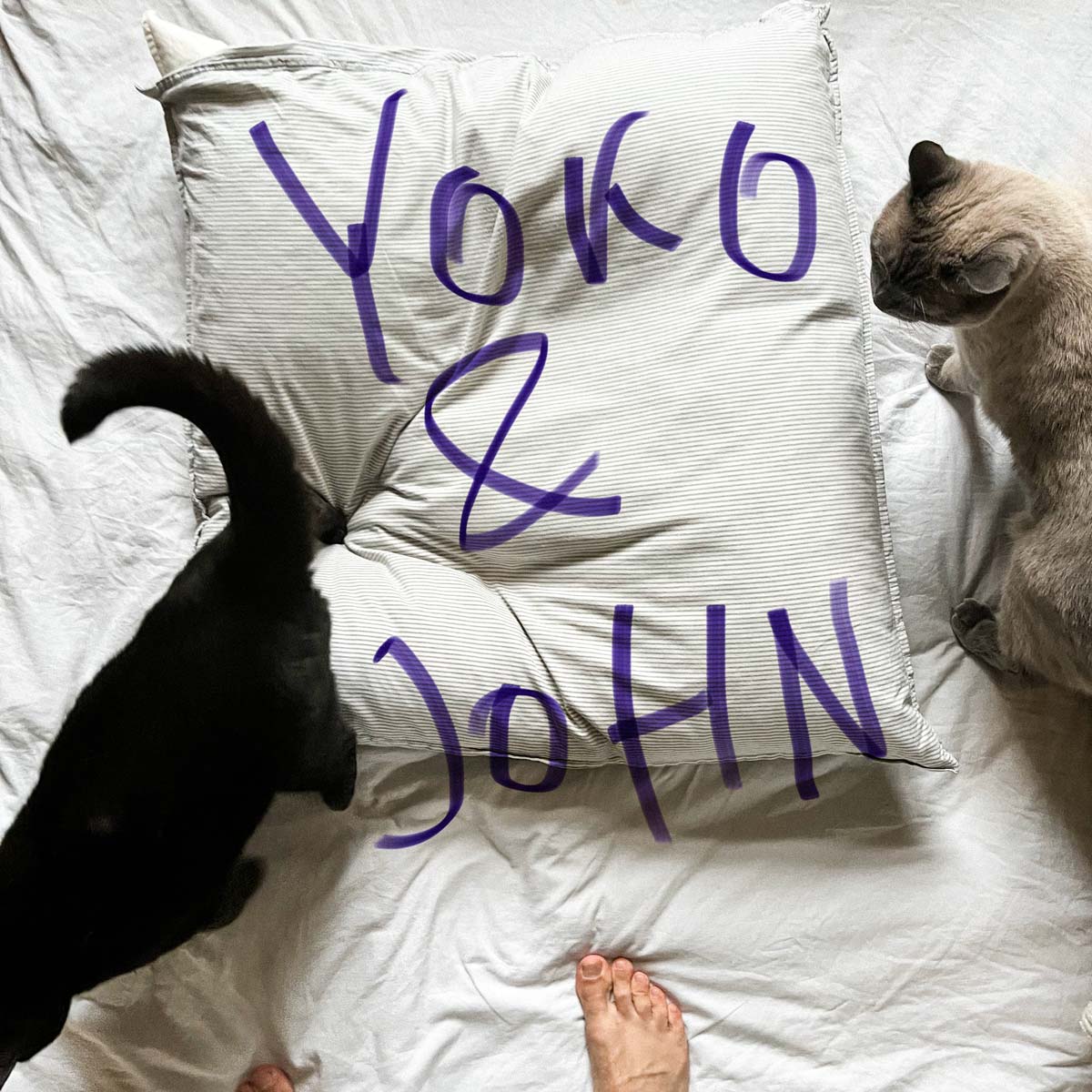 Amir Sufi & Barska - Yoko & John